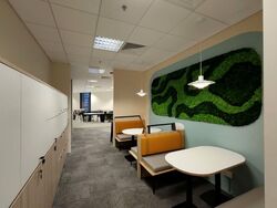 PLUS (D1), Office #537377201